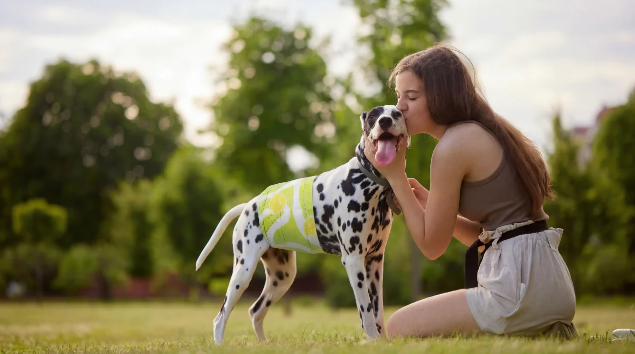 disposable pet diapers Wholesale