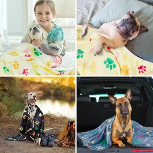 pet wholesale suppliers