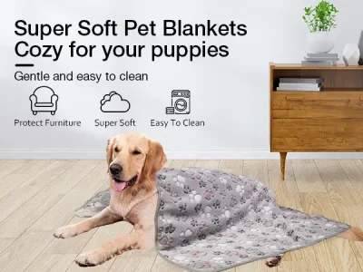 pet wholesale suppliers