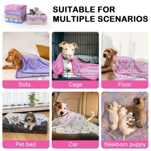 pet wholesale suppliers