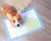 pet supply manufacturers